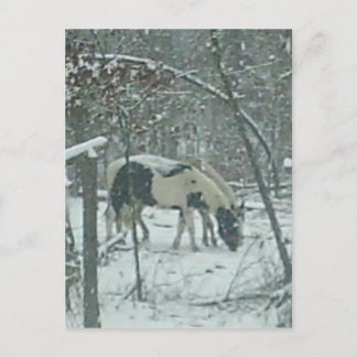 Carte postale de chevaux d'hiver