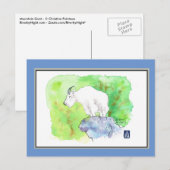 Carte postale de chèvre de montagne (Devant / Derrière)