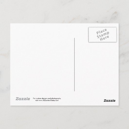 Carte postale de Chicago Navy (Dos)