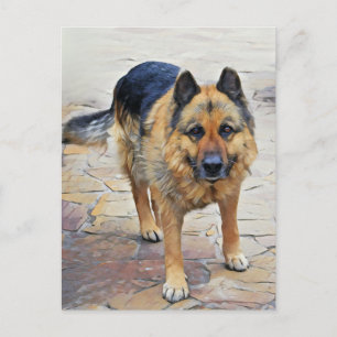 Carte postale de chien berger allemand