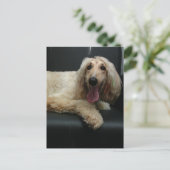 Carte postale de chien de chien d'origine afghane (Debout devant)