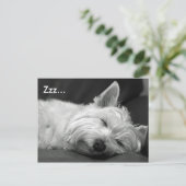 Carte postale de chien de mignonne Westie (West Hi (Debout devant)