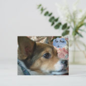 Carte postale de chien de presse (Debout devant)