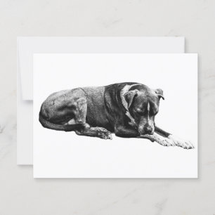 Carte postale de chien de repos