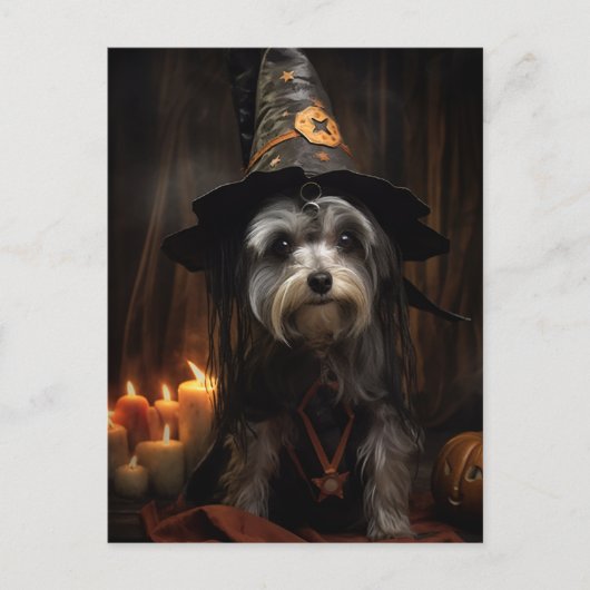 Carte postale de chien d'Halloween (Devant)