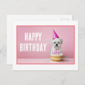 Carte postale de chien maltais avec chapeau de fêt (Devant / Derrière)