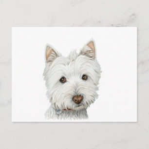 Carte postale de chien mignonne Westie