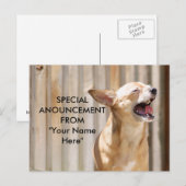 Carte postale de Chihuahua (Devant / Derrière)