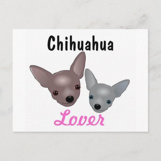Carte postale de Chihuahua Lover (Devant)