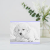 Carte postale de chiot blanc mignon et duveteux (Debout devant)