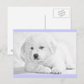 Carte postale de chiot blanc mignon et duveteux (Devant / Derrière)