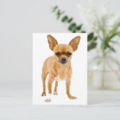 Carte postale de chiot Chihuahua (Debout devant)