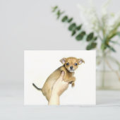 Carte postale de chiot Chihuahua (Debout devant)