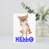 Carte postale de chiot Chihuahua « Hello » (Debout devant)