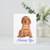 Carte postale de chiot Cocker Spaniel Vous manquez (Debout devant)