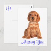 Carte postale de chiot Cocker Spaniel Vous manquez (Devant / Derrière)