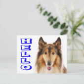Carte postale de chiot colley (Debout devant)