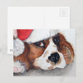 Carte postale de chiot de Noël. (Devant / Derrière)