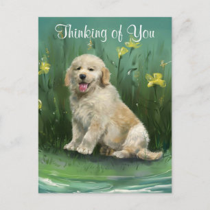 Carte postale de chiot Golden Retriever « Pensée p