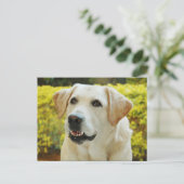 Carte postale de chiot Labrador Retriever (Debout devant)