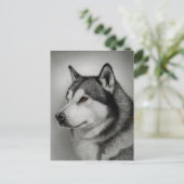 Carte postale de chiot Malamute d'Alaska (Debout devant)