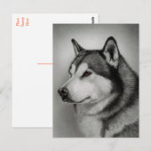 Carte postale de chiot Malamute d'Alaska (Devant / Derrière)
