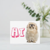 Carte postale de chiot pékinois avec Hello (Debout devant)