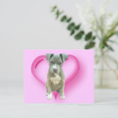 Carte postale de chiot Pitbull (Debout devant)