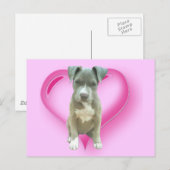 Carte postale de chiot Pitbull (Devant / Derrière)