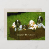 Carte postale de chiots doux (Devant / Derrière)