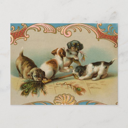 Carte postale de chiots vintage (Devant)