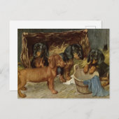 Carte postale de chiots vintage (Devant / Derrière)