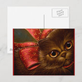 CARTE POSTALE DE CHOCOLATE PERSIAN CAT (Devant / Derrière)