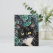 Carte postale de Chouchou le chat (Debout devant)