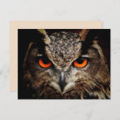 carte postale de chouette à grande corne (Devant / Derrière)