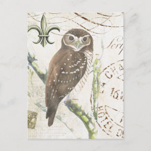 Carte postale de chouette brune vintage