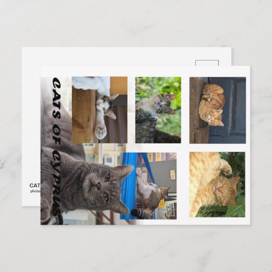 Carte postale de Chypre (Devant / Derrière)