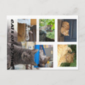 Carte postale de Chypre (Devant)