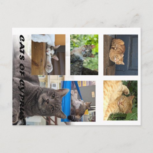 Carte postale de Chypre (Devant)