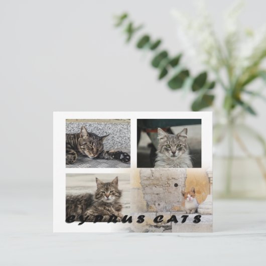 Carte postale de Chypre (Debout devant)