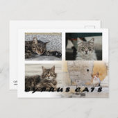 Carte postale de Chypre (Devant / Derrière)