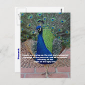 Carte postale de citation de paon (Devant / Derrière)