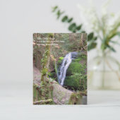 Carte postale de Coal Creek Falls (Debout devant)