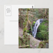 Carte postale de Coal Creek Falls (Devant / Derrière)