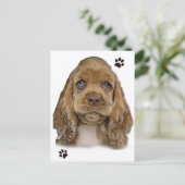 Carte postale de Cocker Spaniel (Debout devant)
