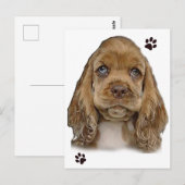 Carte postale de Cocker Spaniel (Devant / Derrière)