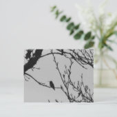 Carte postale de colibri (Debout devant)