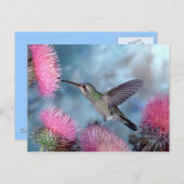 Carte postale de colibri (Devant / Derrière)