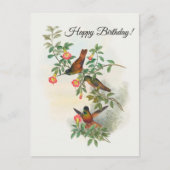 Carte postale de colibri à front d'étoile dorée (Devant)