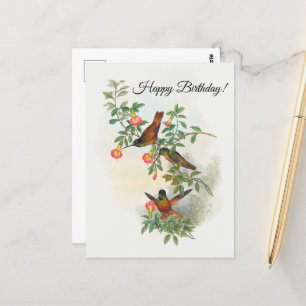 Carte postale de Colibri à front d'or